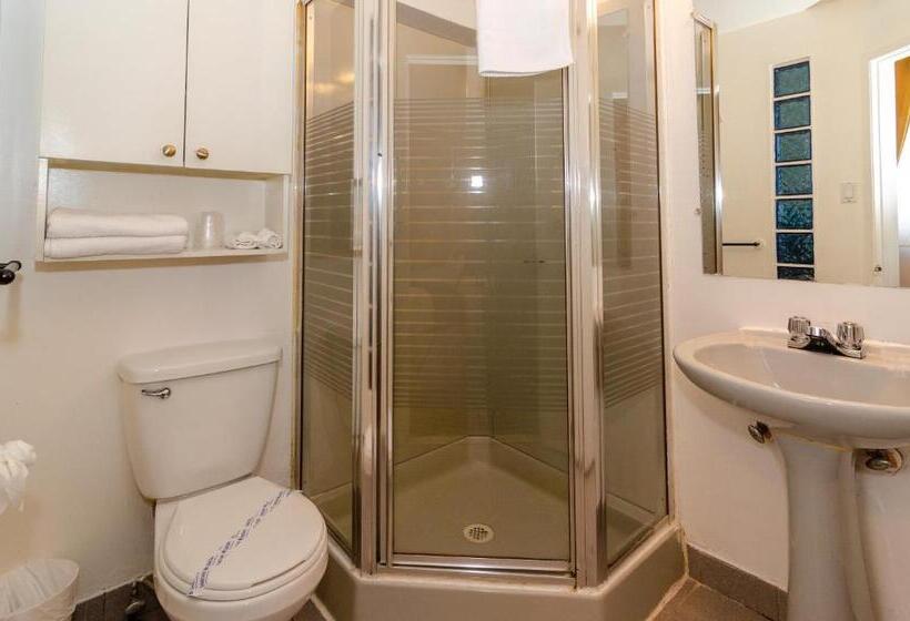 スタンダードルーム, Dorion