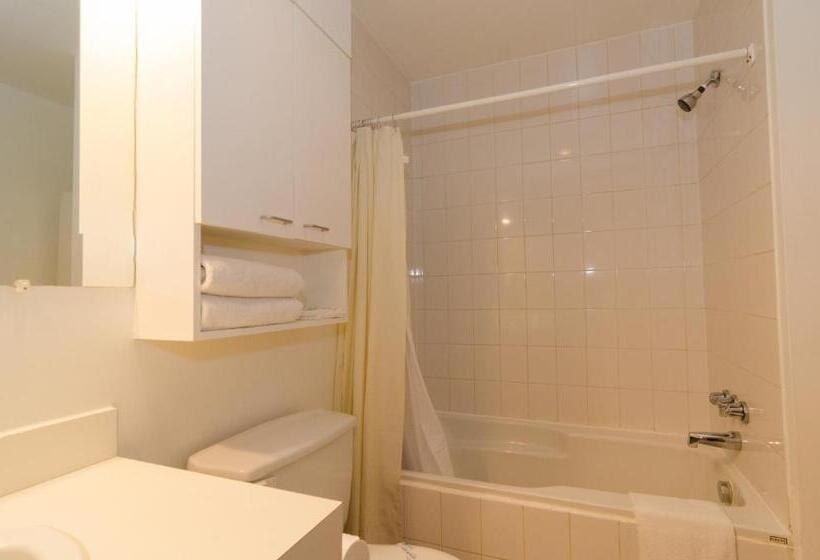 ２ダブルベッドのスタンダードルーム, Dorion