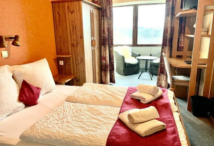 غرفة قياسية, Hôtel Du Lac