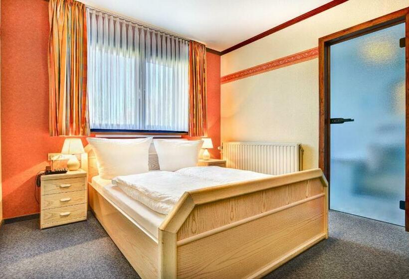 غرفة قياسية, Hôtel Du Lac