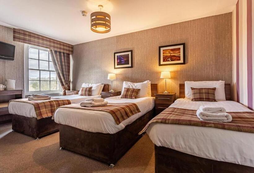 스탠다드 트리플 룸, The Sun