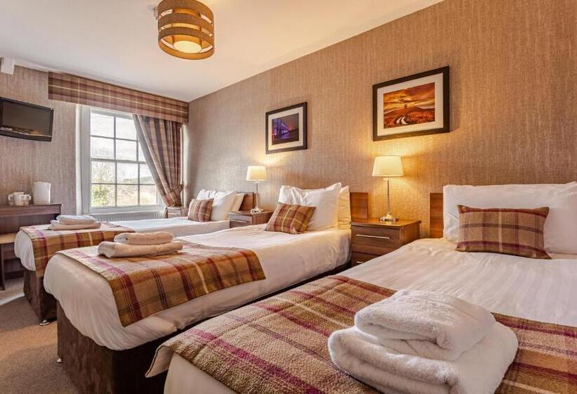 스탠다드 트리플 룸, The Sun