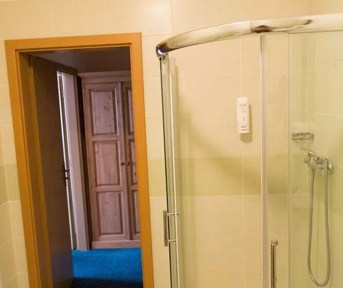 آپارتمان 1 خوابه, Wellness Hotel Harrachovka