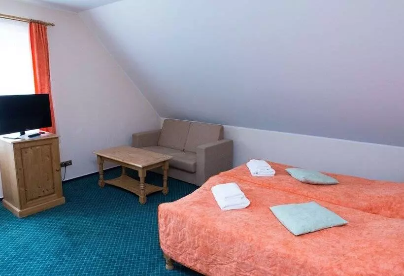 آپارتمان 1 خوابه, Wellness Hotel Harrachovka