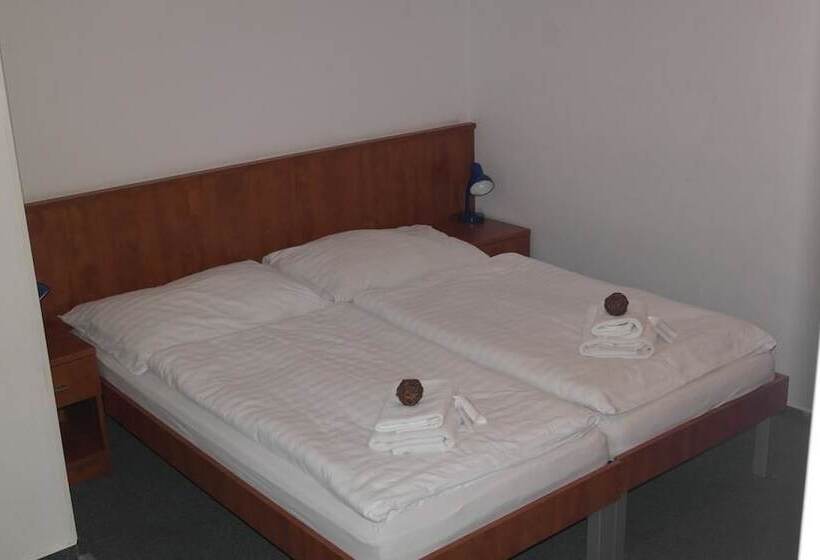 Номер Стандарт Индивидуальный, Wellness Hotel Harrachovka