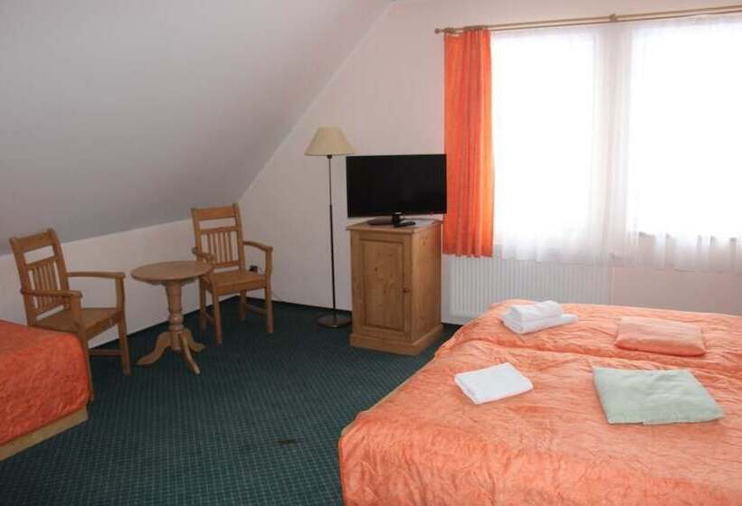 Номер Стандарт Трехместный, Wellness Hotel Harrachovka