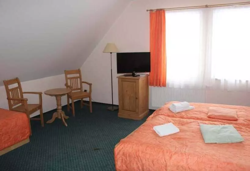 اتاق استاندارد سه نفره, Wellness Hotel Harrachovka