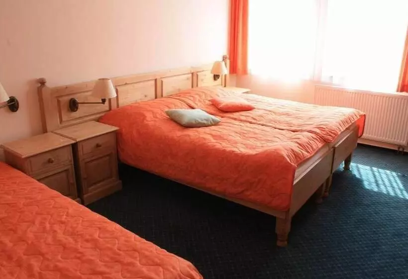 اتاق استاندارد سه نفره, Wellness Hotel Harrachovka