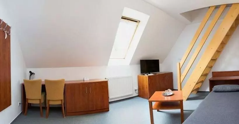 اتاق استاندارد چهار تخته, Wellness Hotel Harrachovka