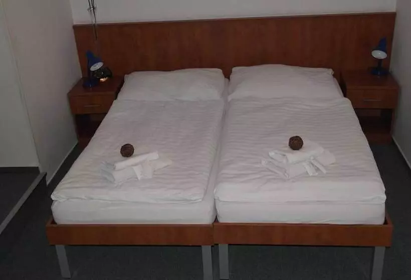آپارتمان 1 خوابه, Wellness Hotel Harrachovka