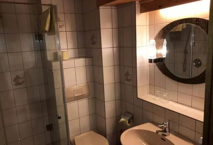 Basic-huone, Otto Steiner Appartements Pension Ellmau & Wilder Kaiser