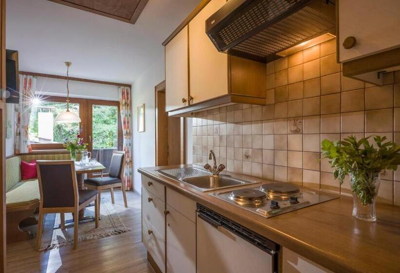 Апартаменты 2 Спальни, Otto Steiner Appartements Pension Ellmau & Wilder Kaiser