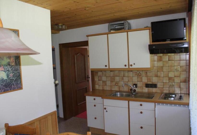 ２ベッドルームアパートメント, Otto Steiner Appartements Pension Ellmau & Wilder Kaiser