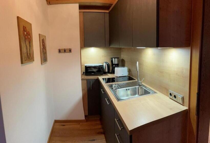 スタンダードスタジオ, Otto Steiner Appartements Pension Ellmau & Wilder Kaiser