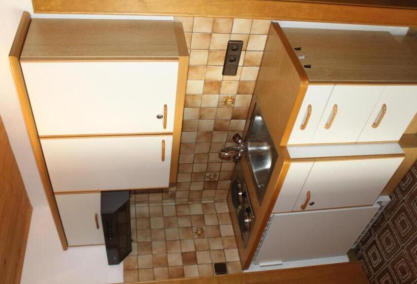 Студия Стандарт, Otto Steiner Appartements Pension Ellmau & Wilder Kaiser