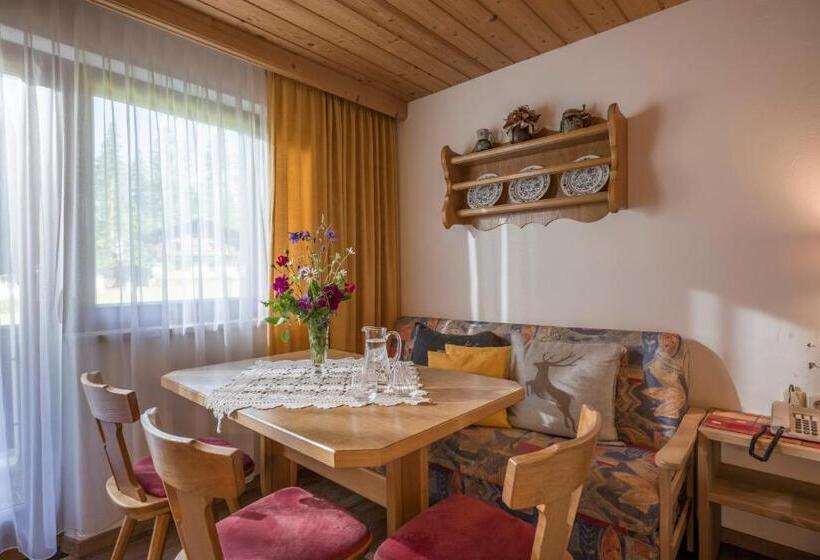 １ベッドルームアパートメント, Otto Steiner Appartements Pension Ellmau & Wilder Kaiser