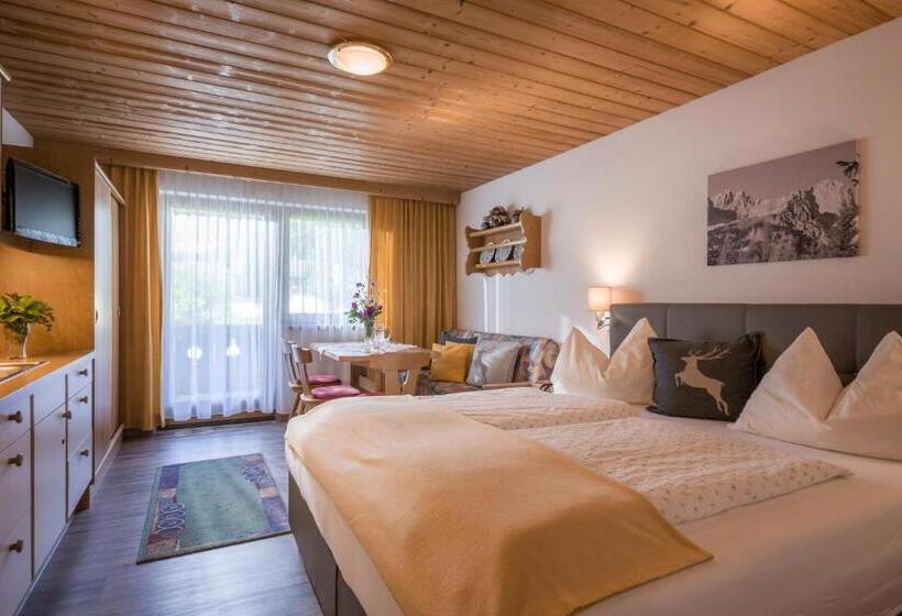 １ベッドルームアパートメント, Otto Steiner Appartements Pension Ellmau & Wilder Kaiser