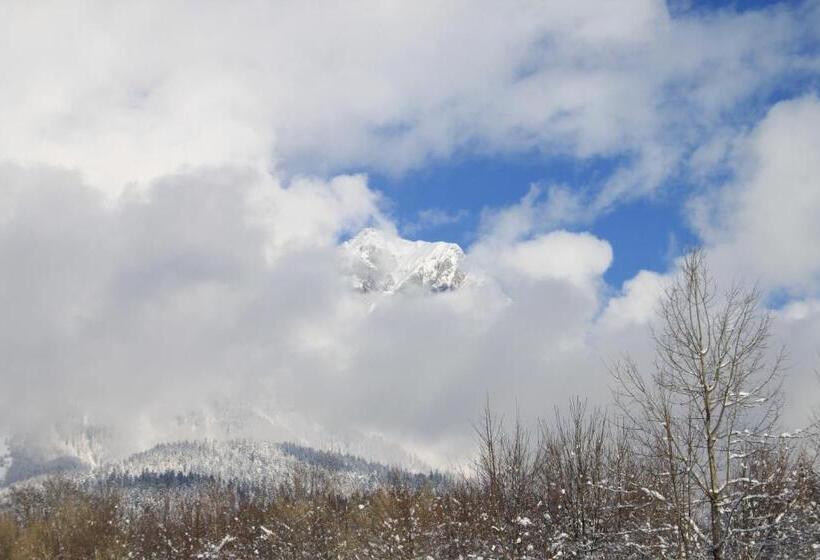 スタンダードルーム, Otto Steiner Appartements Pension Ellmau & Wilder Kaiser