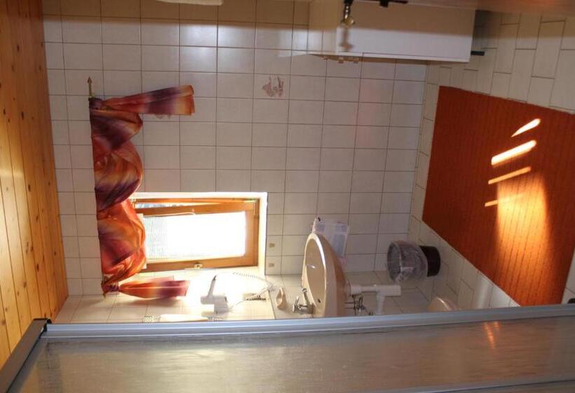 スタンダードルーム, Otto Steiner Appartements Pension Ellmau & Wilder Kaiser