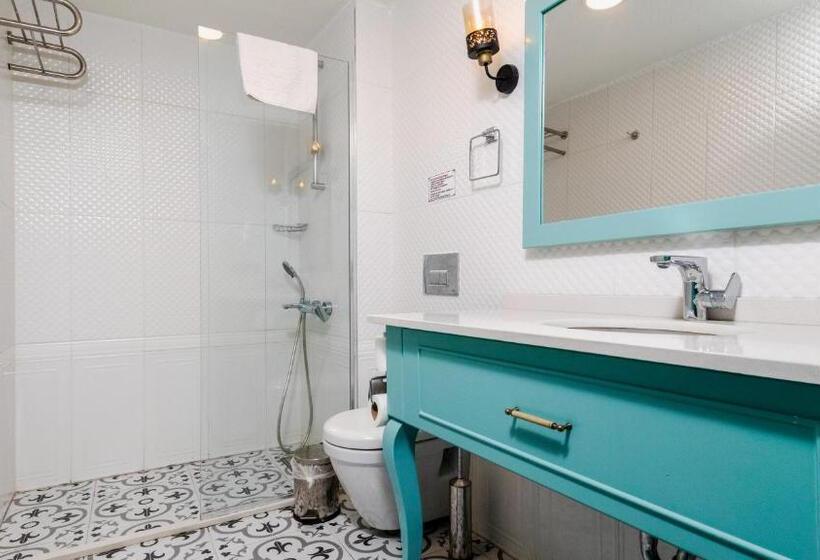 اتاق اکونومی, Avlu Alaçatı Boutique