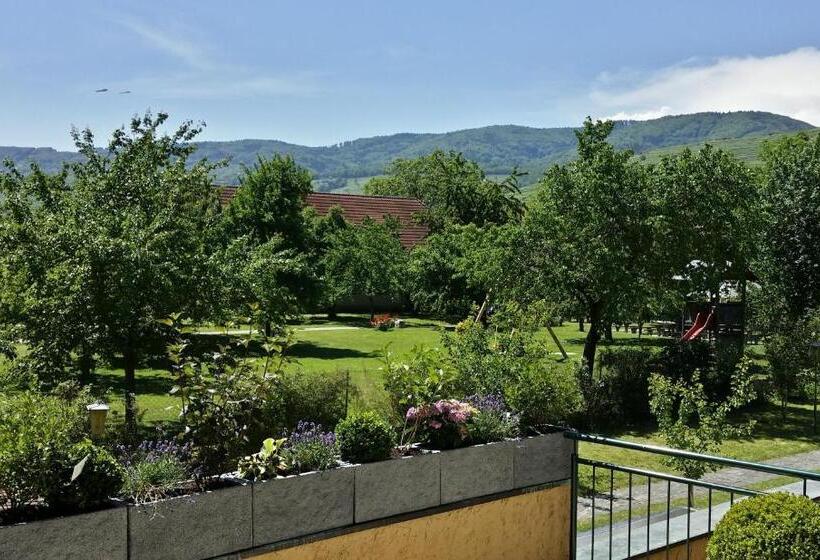 סוויטה עם טרסה, Donauwirt   Hotel Garni