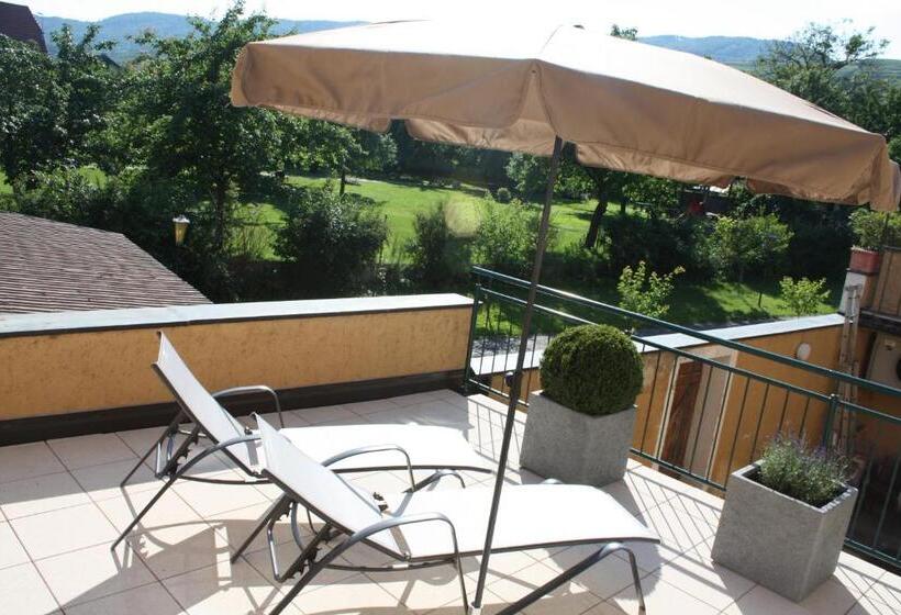 סוויטה עם טרסה, Donauwirt   Hotel Garni