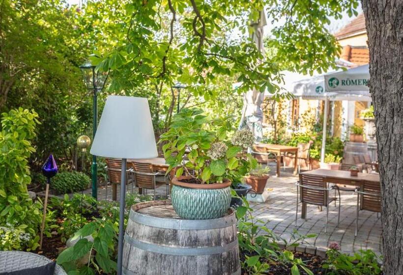 חדר סטנדרט עם טרסה, Donauwirt   Hotel Garni