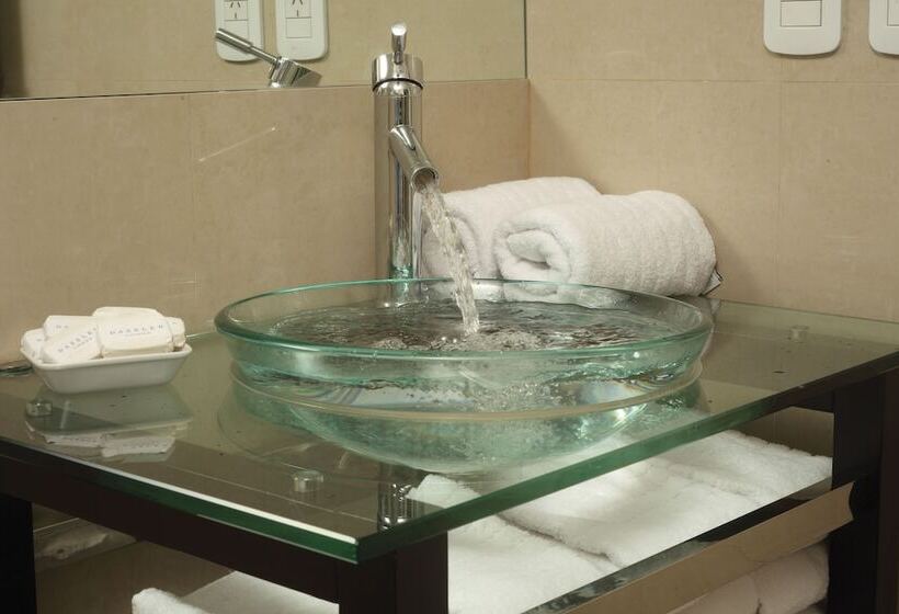 اتاق کلاسیک سه تخته, Dazzler By Wyndham Buenos Aires Maipu