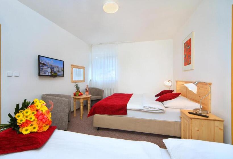 Номер Стандарт Трехместный, Lenka