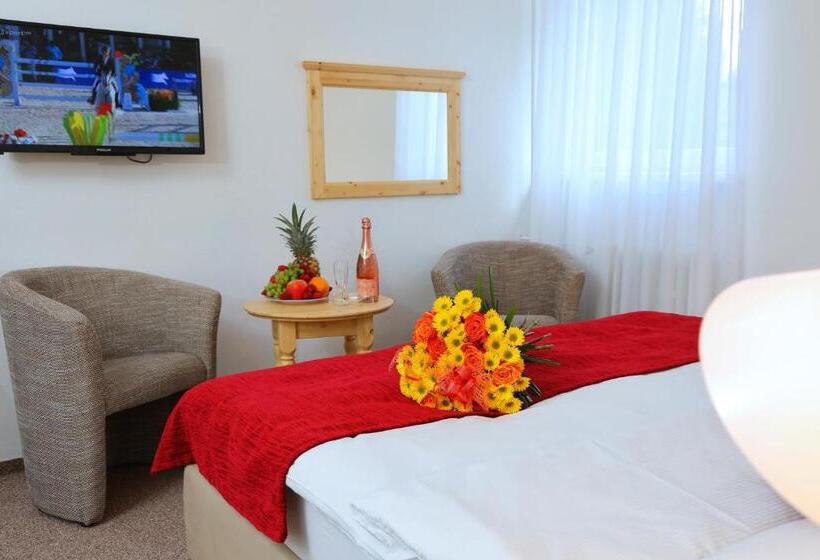 Номер Стандарт, Lenka