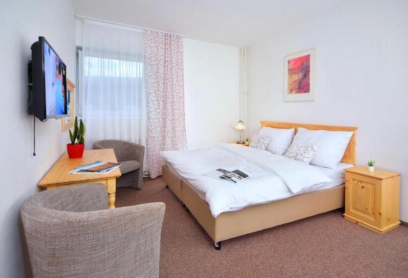 Номер Стандарт, Lenka