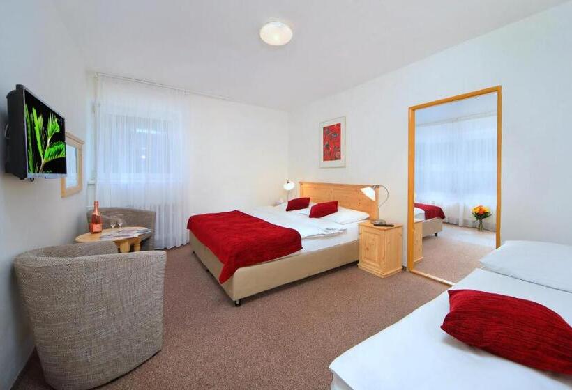 Семейный Номер, Lenka