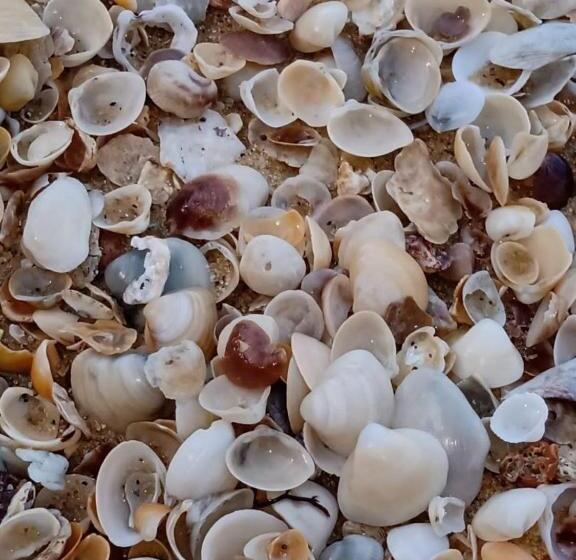 اتاق استاندارد, Pousada Pé Na Areia