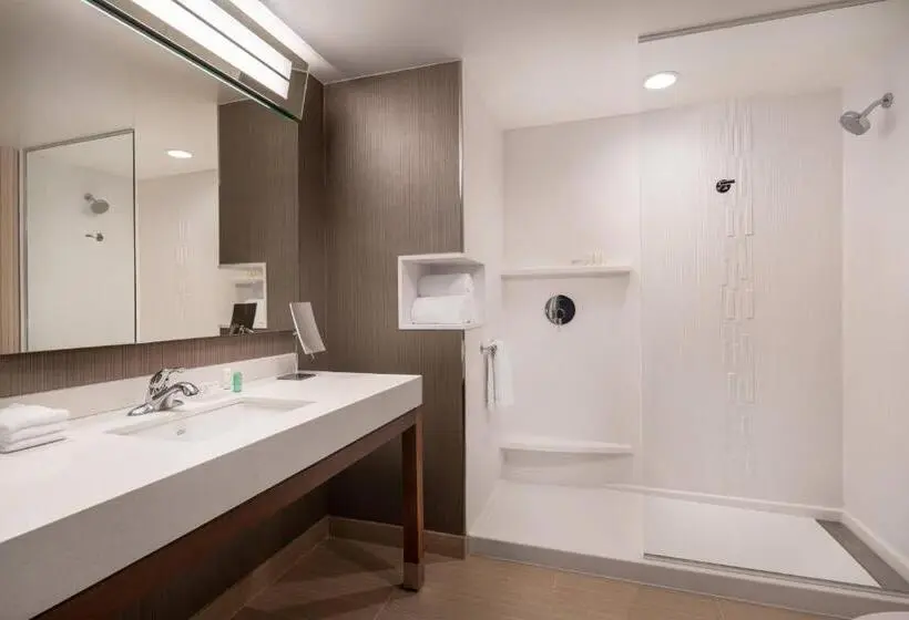 スタンダードルーム, Courtyard By Marriott Petaluma Sonoma County