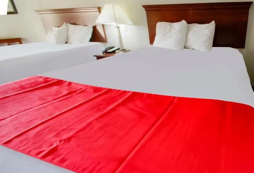 スタンダードルーム, Cypress Inn & Suites