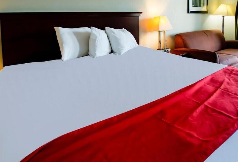 غرفة قياسية سرير كينج, Cypress Inn & Suites