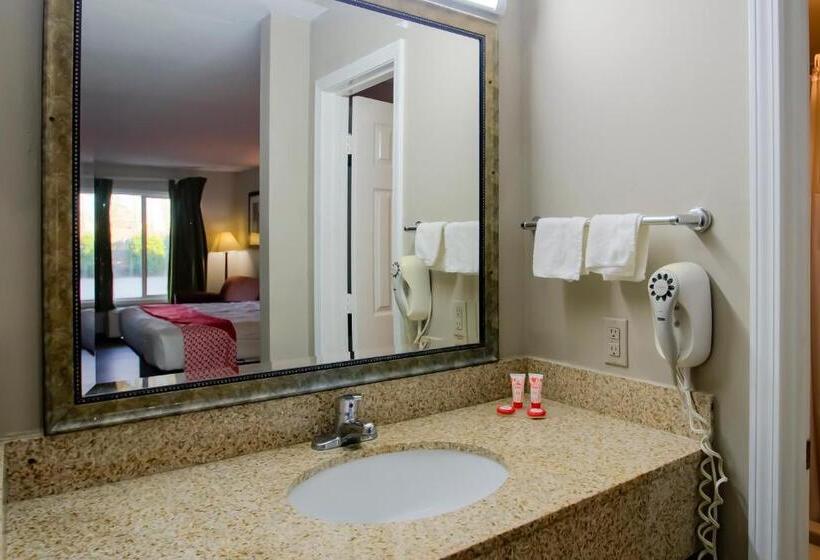 스위트 킹사이즈 침대, Cypress Inn & Suites