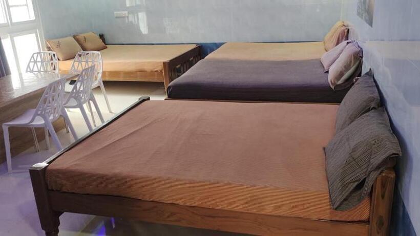 家庭工作室, C M Hotel New