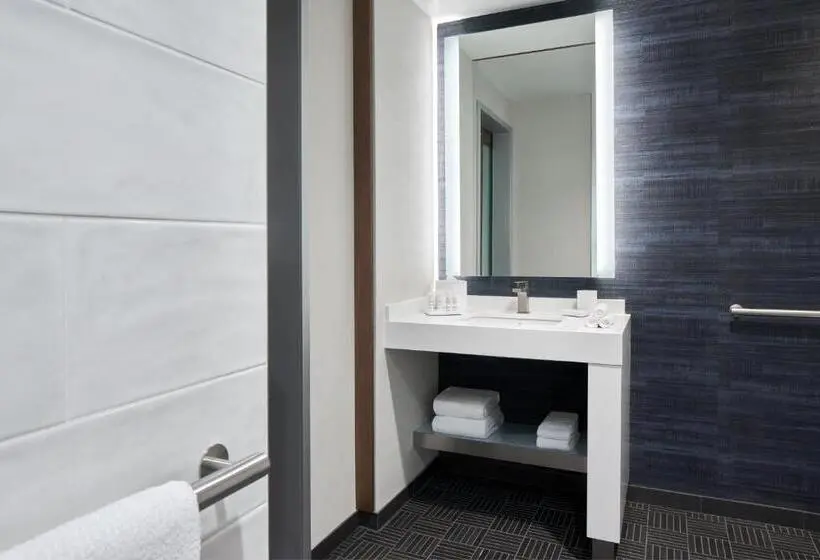 キングサイズベッドのスタンダードルーム, Marriott Owings Mills Metro Centre