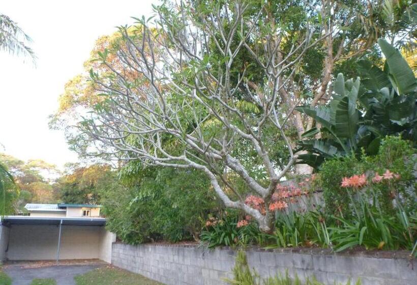 חדר סטודיו סטנדרד, Koala Lodge Studio 1