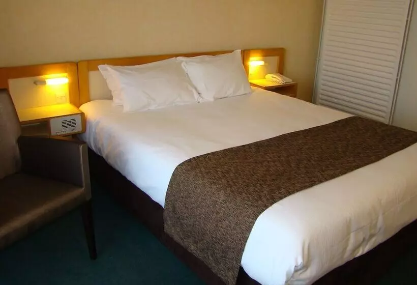 スタンダードシングルルーム, Brit Hotel Du Lac