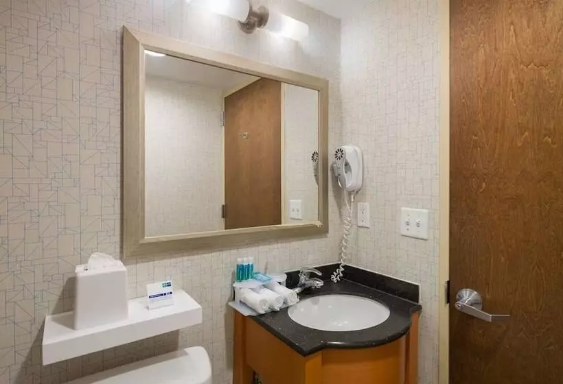 Standard-huone, Holiday Inn Express Times Square, An Ihg