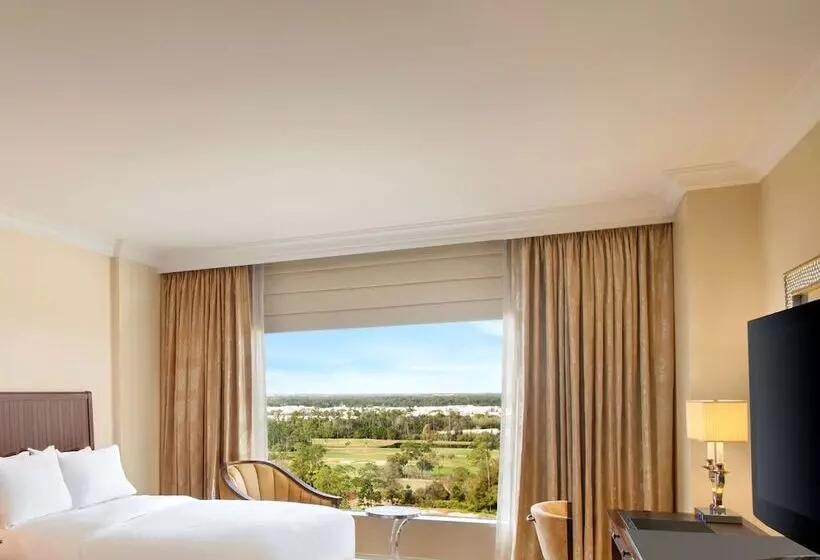 景色の見えるデラックスルーム, Waldorf Astoria Orlando   An Official Walt Disney World®