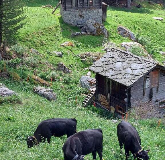 Номер Стандарт, B&b Alpenrösli