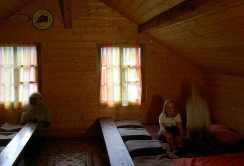 سرير فى غرفة مشتركه, Berggasthaus Obbort