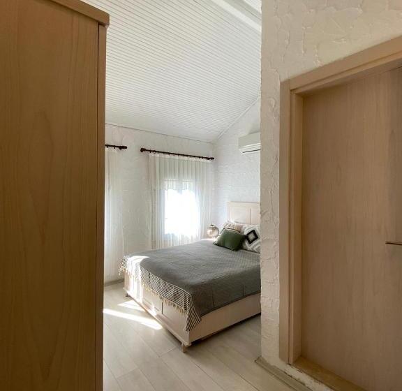 Номер Стандарт, Aliko