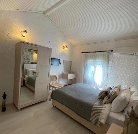 Номер Стандарт, Aliko