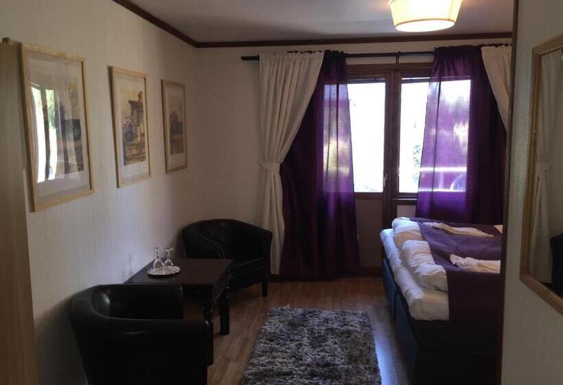 غرفة قياسية, Böda Hotell