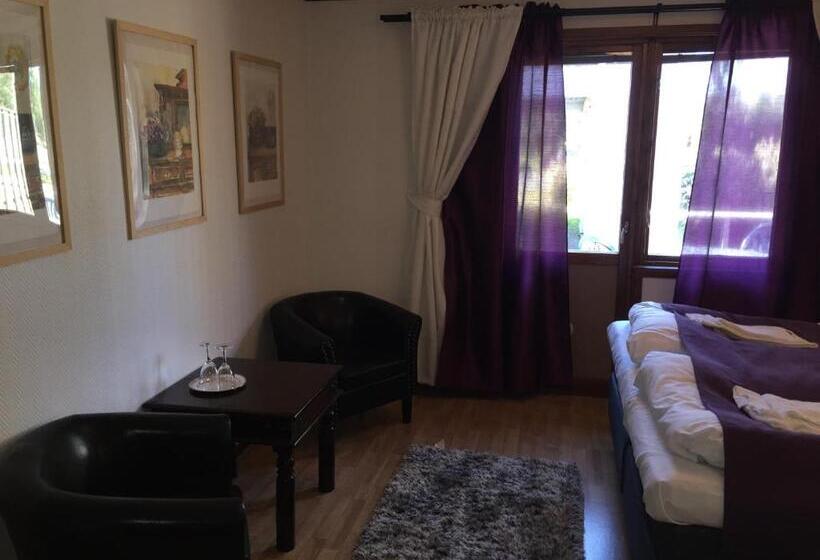 غرفة قياسية, Böda Hotell
