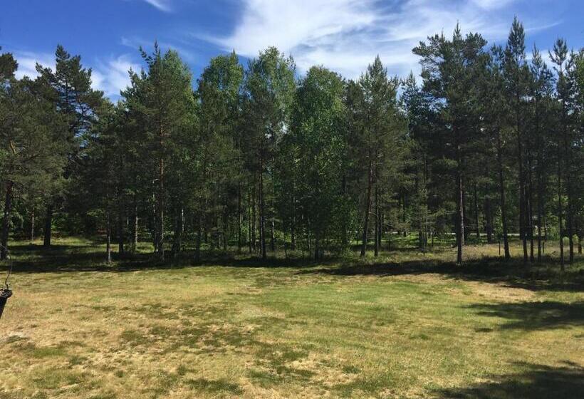 غرفة قياسية, Böda Hotell